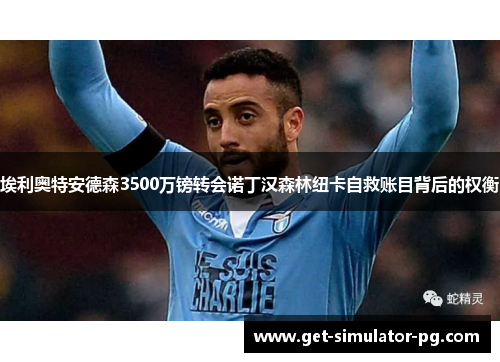 埃利奥特安德森3500万镑转会诺丁汉森林纽卡自救账目背后的权衡